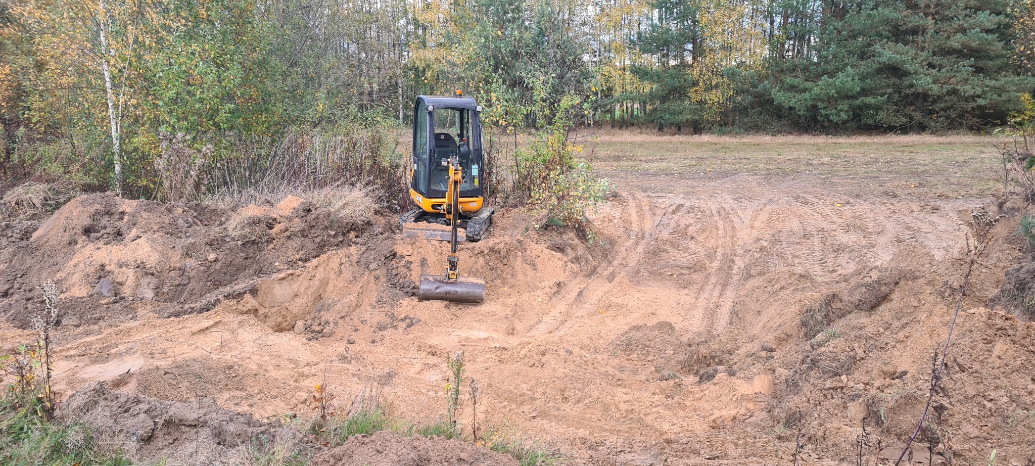 Żółto-czarna mini koparka JCB w trakcie prac ziemnych przy wykopie w otoczeniu drzew i jesiennej roślinności.