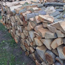 Rząd ułożonych kawałków drewna opałowego, część z korą, na trawiastym podłożu.