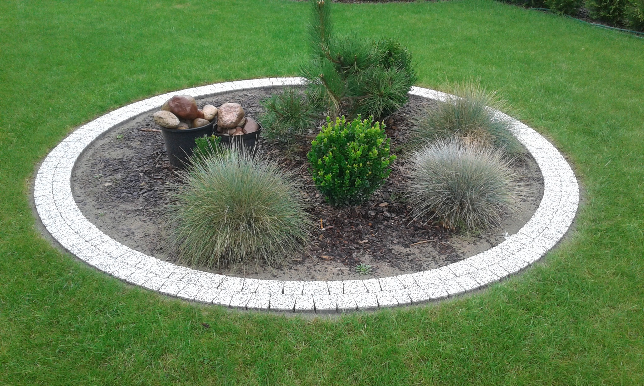 Okrągła rabata z białej kostki granitowej otoczona trawnikiem, wypełniona korą, ozdobnymi trawami i niskimi krzewami, z doniczkami z kamieniami w tle.