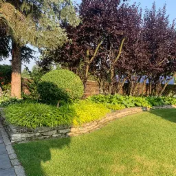 Utrzymany w idealnym stanie ogród z równo przyciętym trawnikiem, ozdobnymi roślinami na kamiennym murku i drzewami o purpurowych liściach w tle, oświetlony popołudniowym słońcem.