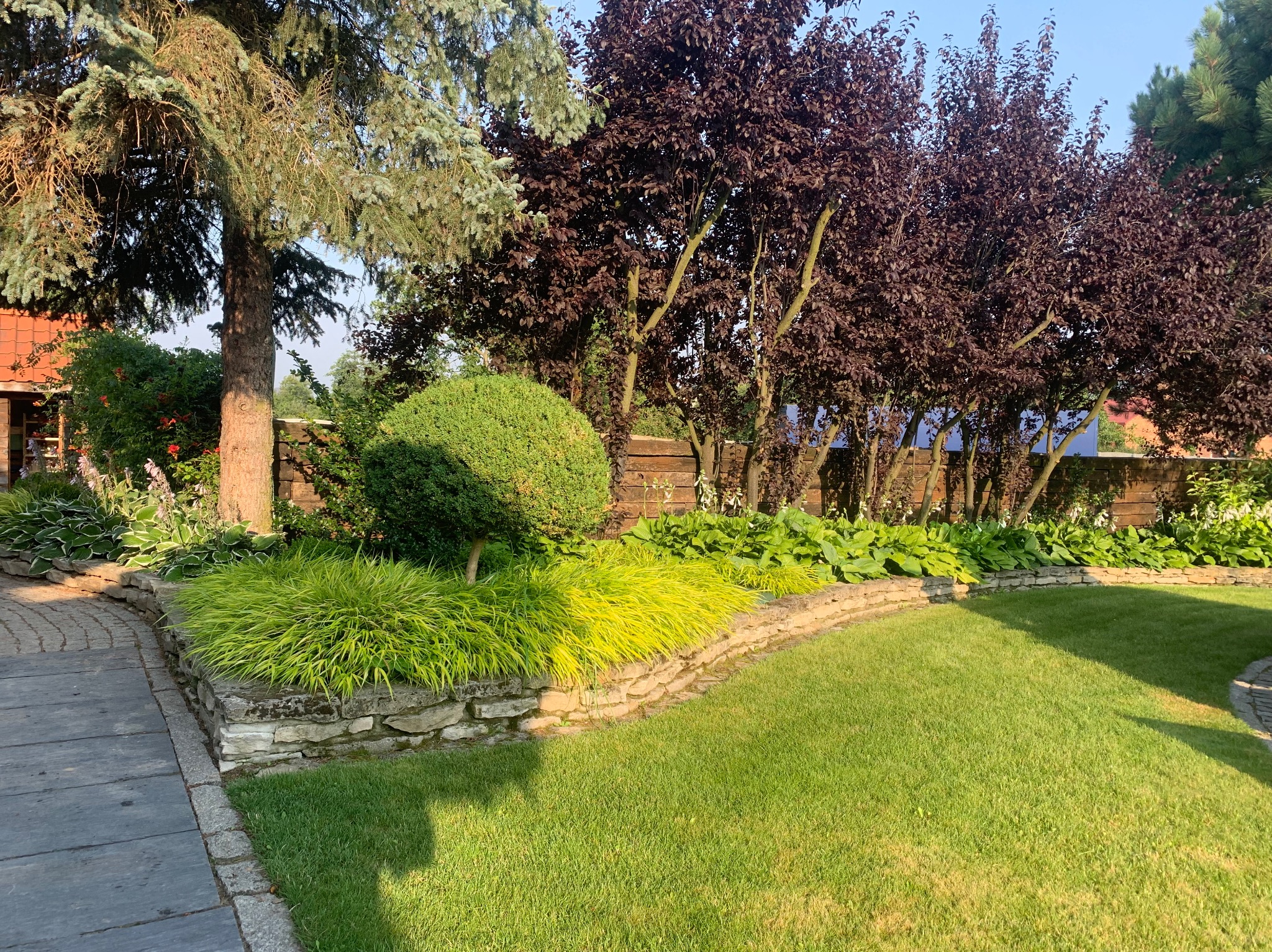 Utrzymany w idealnym stanie ogród z równo przyciętym trawnikiem, ozdobnymi roślinami na kamiennym murku i drzewami o purpurowych liściach w tle, oświetlony popołudniowym słońcem.