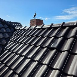 po zmyciu środkami na pleśń i grzyby