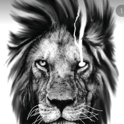 Solidnie - Tapeciarz Jelenia Góra