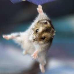 Szpachlowanie Poznań 1