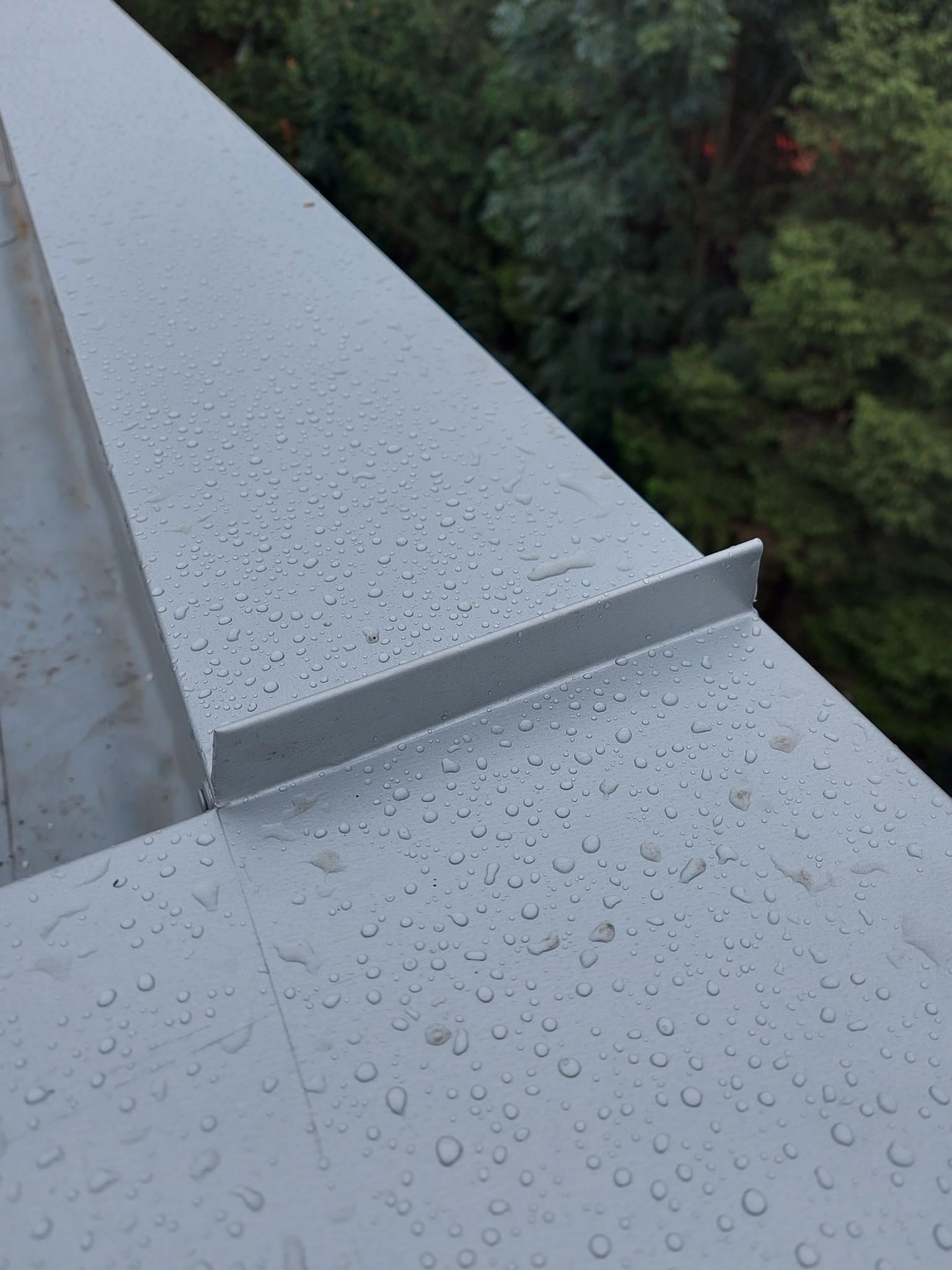 Detale połączenia płyt warstwowych na dachu, pokryte kroplami deszczu, z widocznym fragmentem zieleni w tle.