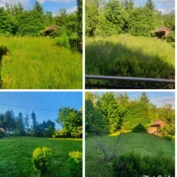 Kolaż czterech ujęć zarośniętej działki z domkiem narzędziowym w tle, przed i po koszeniu trawy, widok z różnych perspektyw.