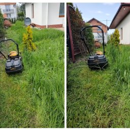 Koszenie Wycinka TRANSPORT - Staranne Usługi Ogrodnicze Cieszyn