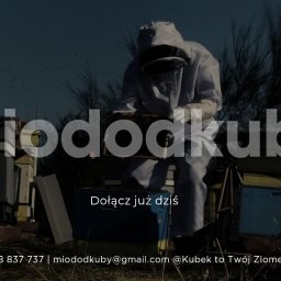 Miód od Kuby - Pszczelarz w kombinezonie ochronnym przy ulach, w tle widoczne nagie gałęzie drzew, nałożony napis 'miododkuby' oraz dane kontaktowe.
