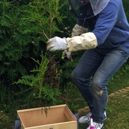 Zawsze do dyspozycji w aktywnych działaniach przeciwrojowych w sezonie 2025 na posesjach i innych lokalizacjach.

Złocieniec+30km
