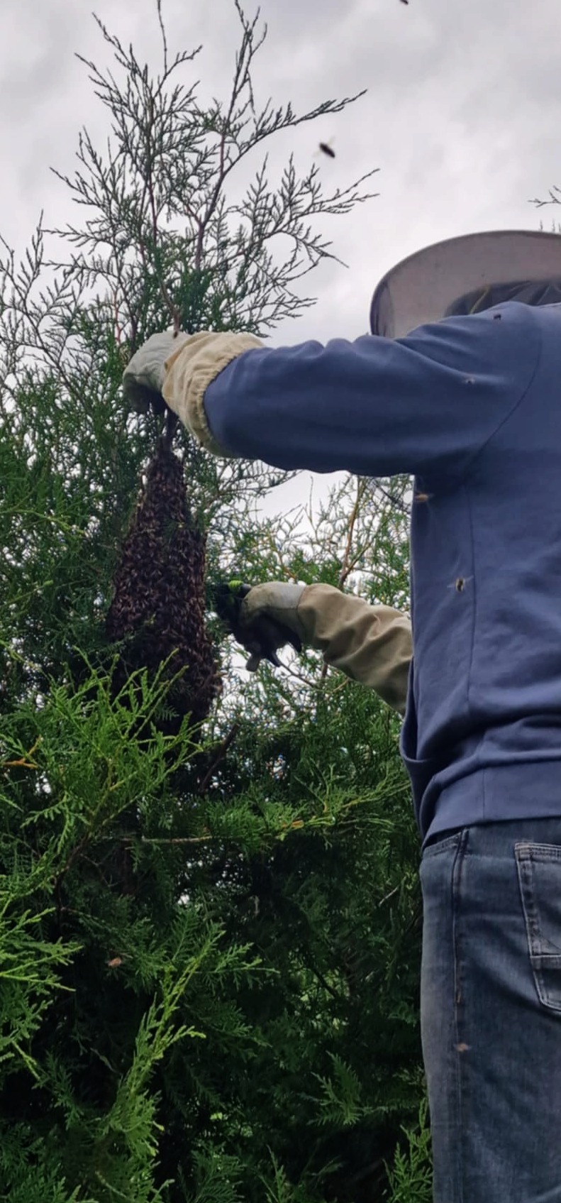 Zawsze do dyspozycji w aktywnych działaniach przeciwrojowych w sezonie 2025 na posesjach i innych lokalizacjach.