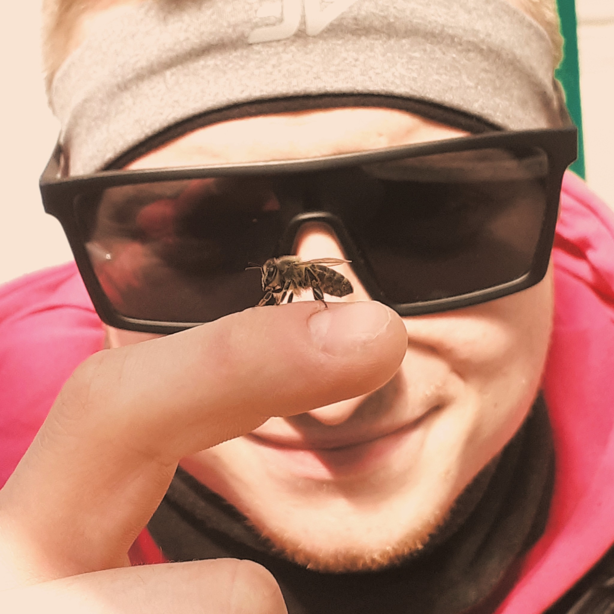 Pszczoła siedząca na palcu mężczyzny w okularach przeciwsłonecznych i szarej opasce.