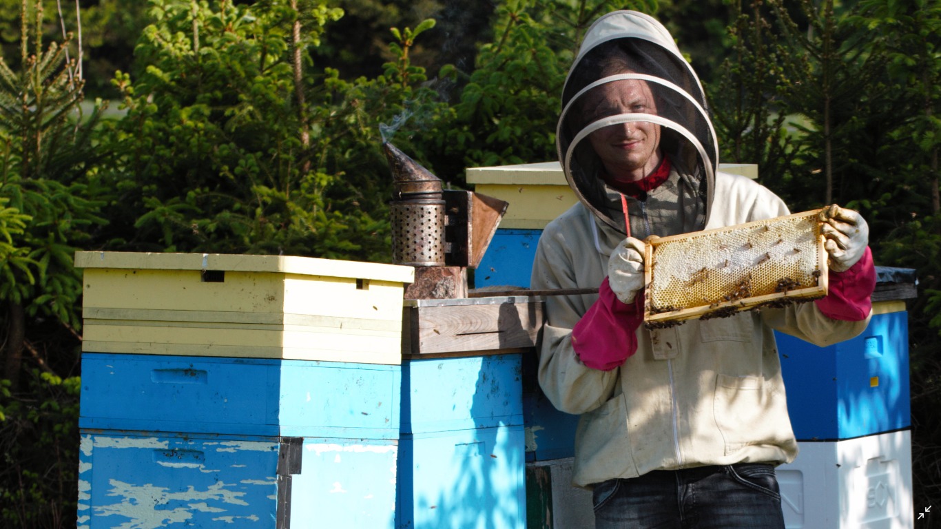 Uśmiechnięty pszczelarz w kombinezonie ochronnym i różowych rękawicach trzyma ramkę z plastrem miodu na tle uli pomalowanych na żółto i niebiesko, obok dymka pszczelarska.