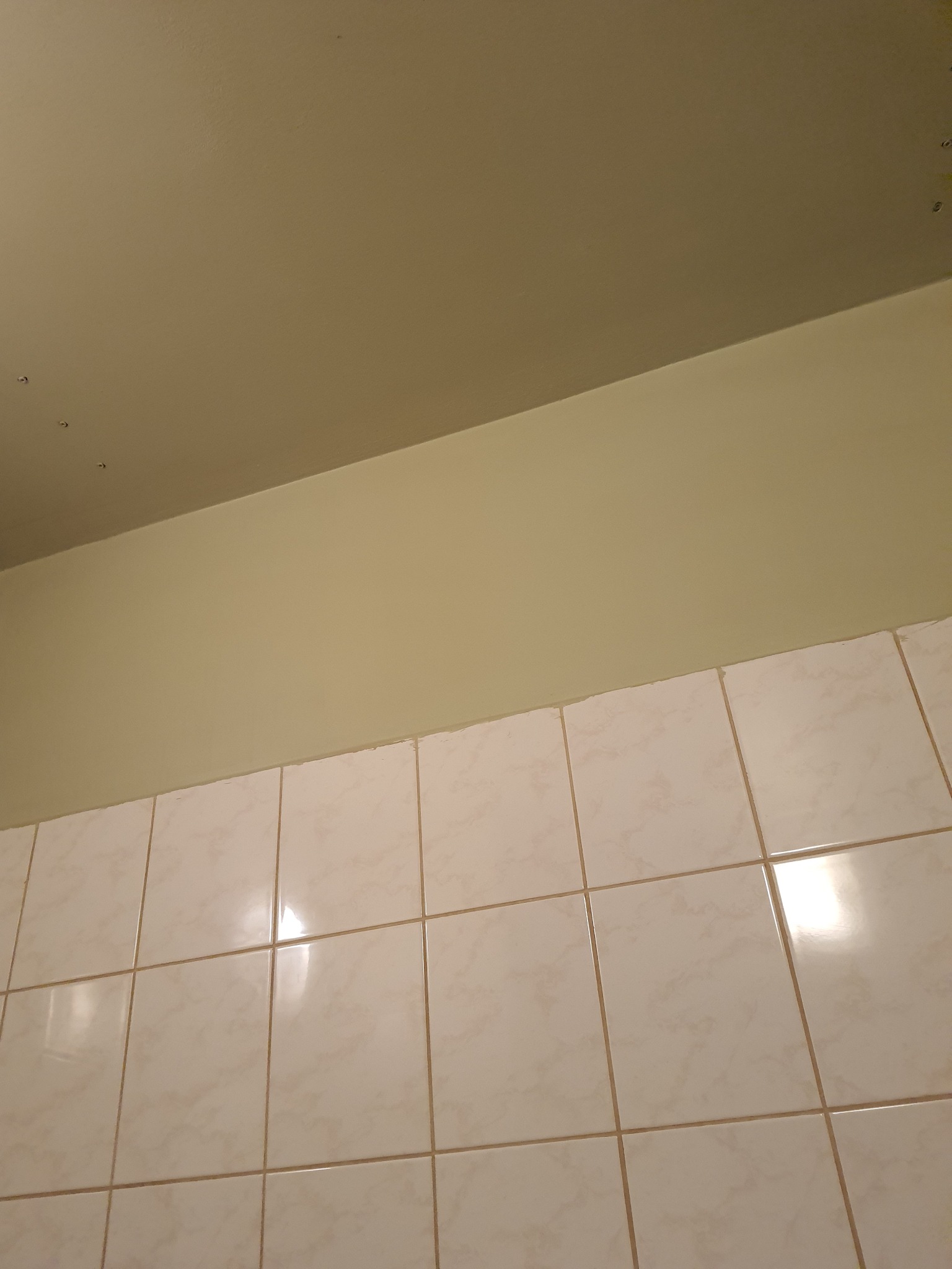 Świeżo pomalowany fragment ściany w odcieniu oliwkowym nad jasnymi płytkami ceramicznymi w łazience, widoczne ślady po wałku na suficie.
