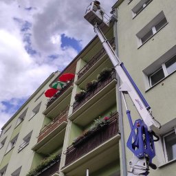 Dezynsekcja i deratyzacja Tarnowo Podgórne 1