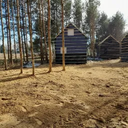 Trzy szkieletowe konstrukcje domów w lesie na piaszczystym terenie, pokryte czarną folią izolacyjną i drewnianymi listwami, czekające na dalsze prace budowlane.