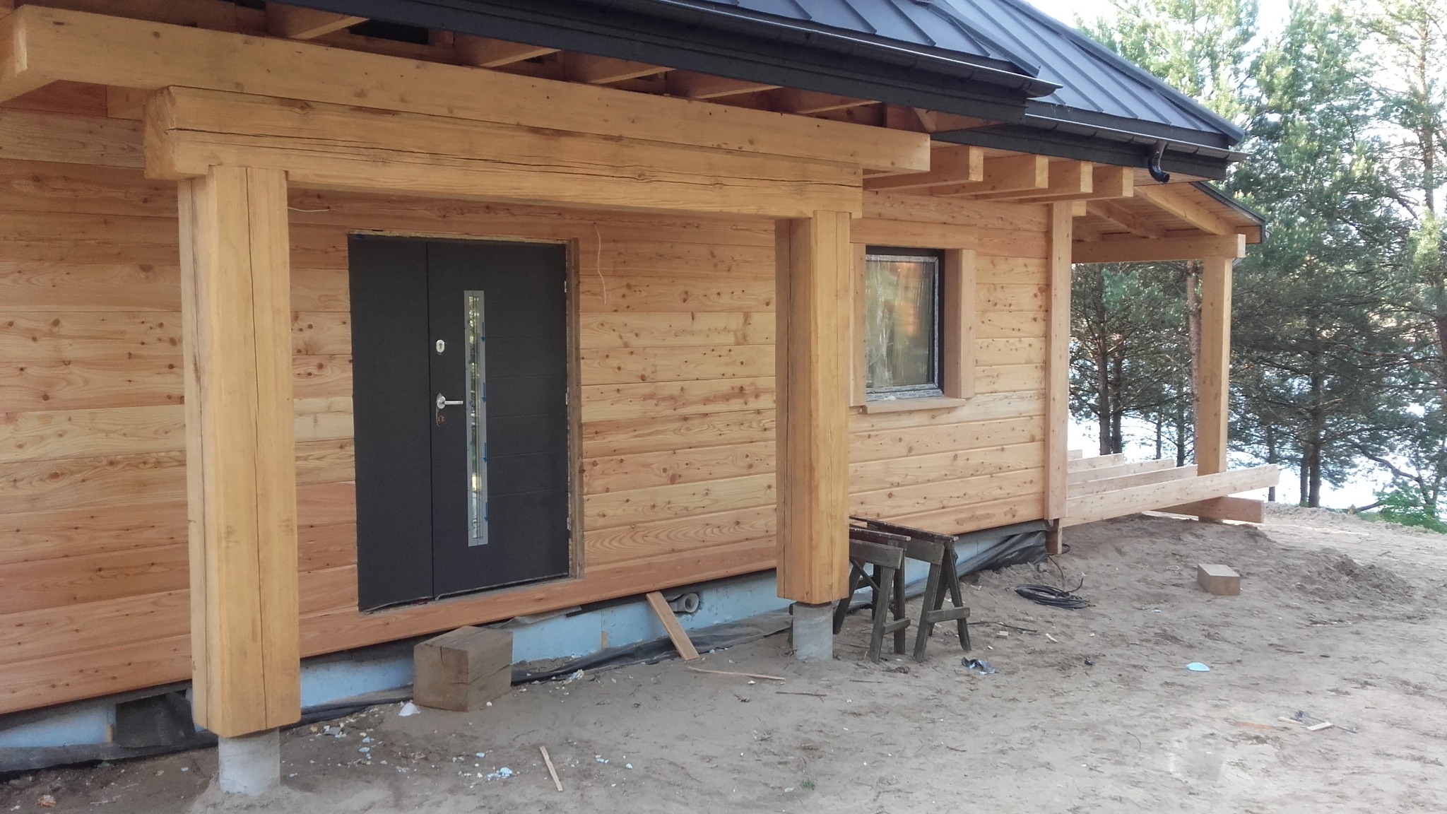 Szkielet elewacja modrzew Polska