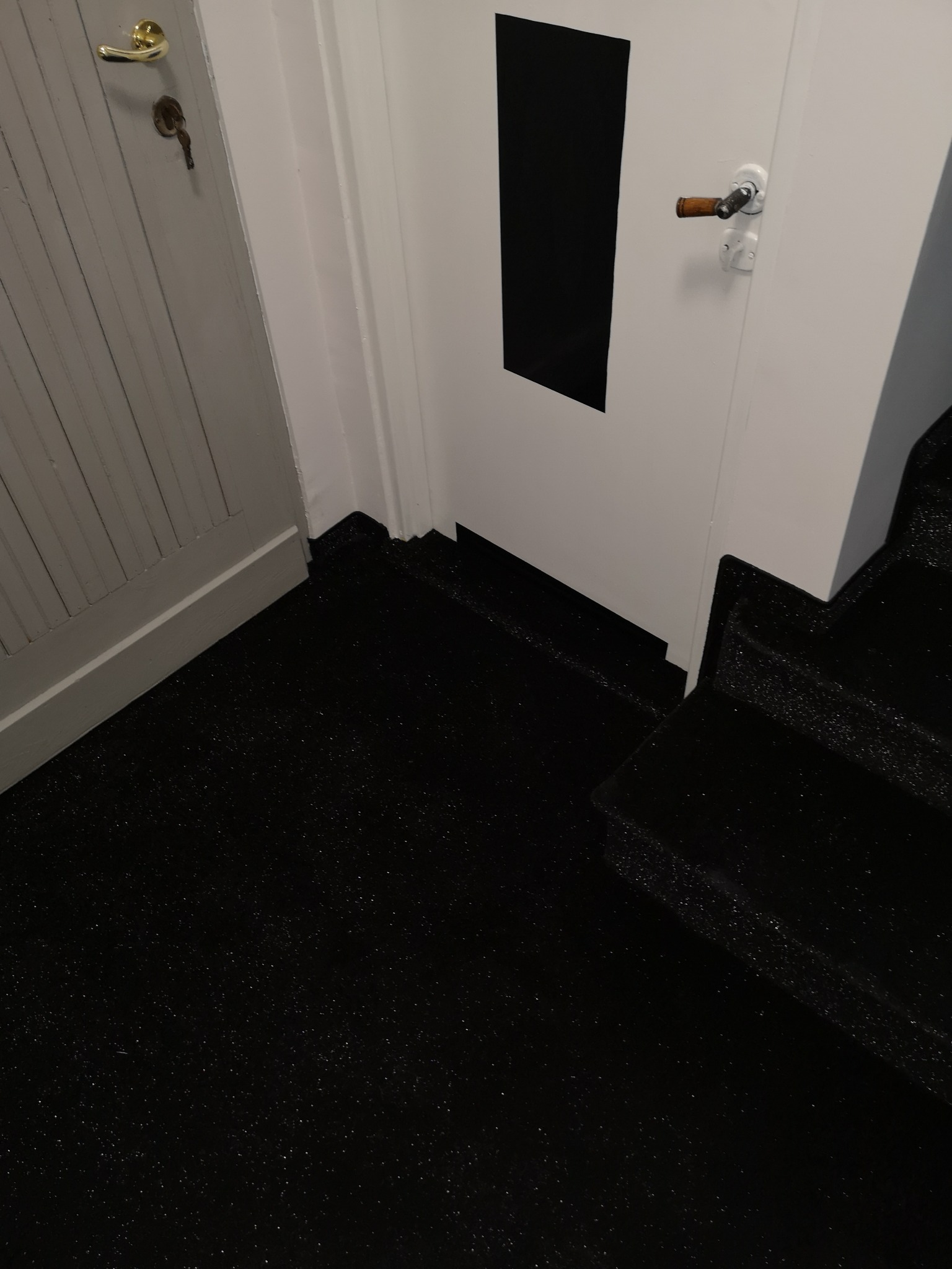 Czarne, błyszczące pokrycie podłogi i schodów w korytarzu, widoczne drzwi z ciemnym prostokątnym elementem dekoracyjnym i złota klamka starszego typu, a także fragment szarej ściany z boazerią.