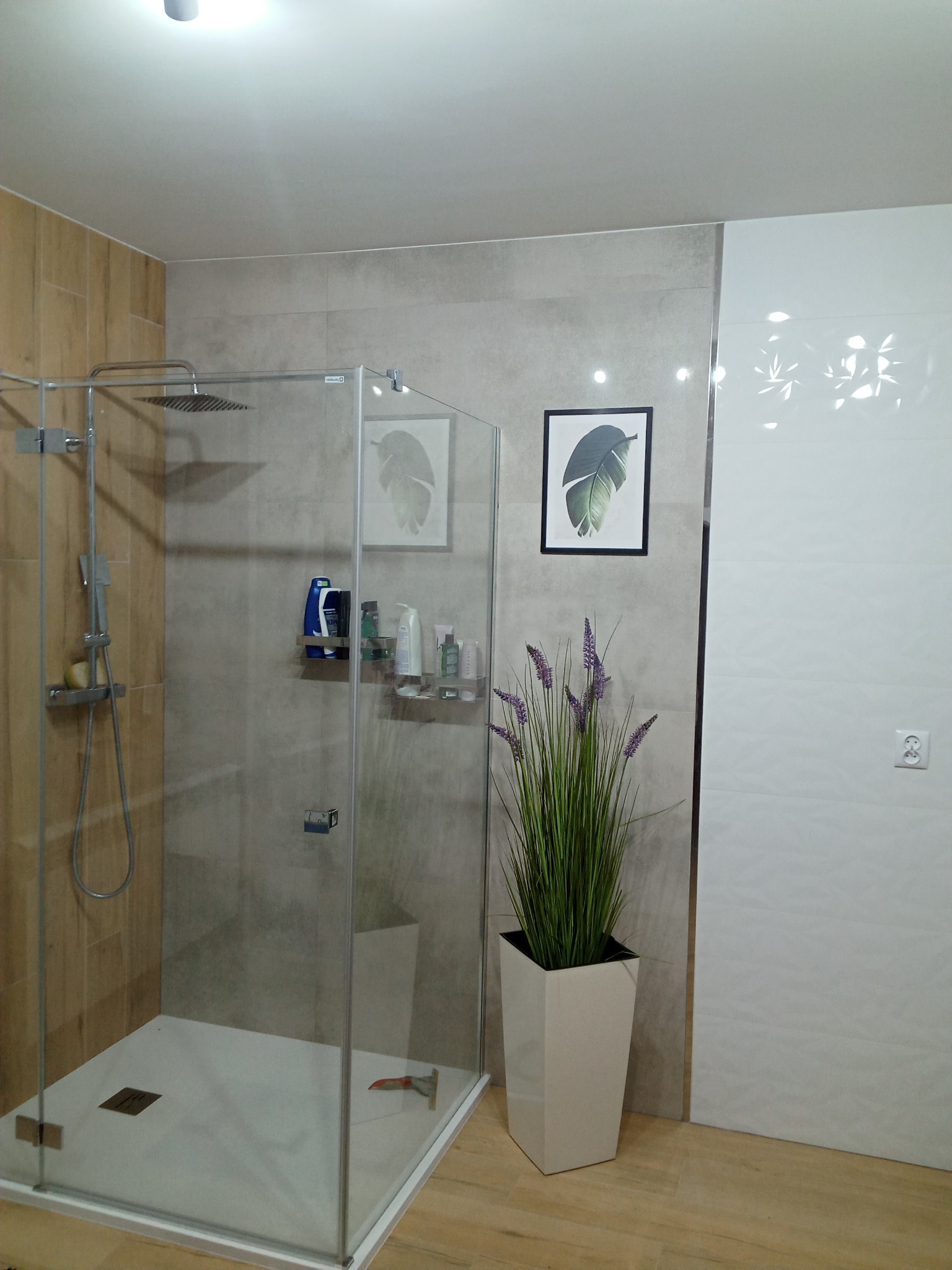 Nowoczesna łazienka z kabiną prysznicową typu walk-in, wykończona płytkami w odcieniach beżu i szarości, dekorowana dwoma obrazkami z motywem liści i wysoką rośliną w białej donicy.