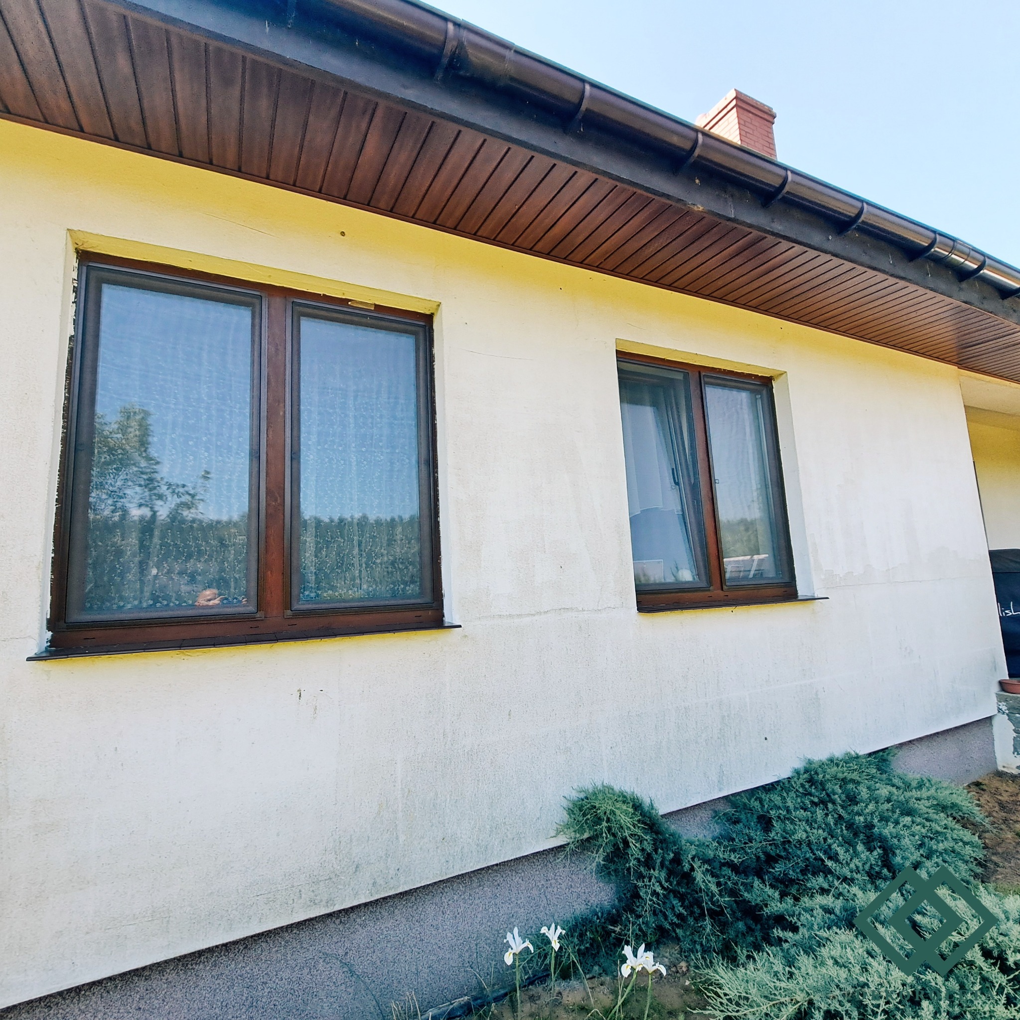 Dwa okna z moskitierami w brązowych ramach na elewacji domu, widok z zewnątrz, na pierwszym planie krzewy i kwiaty.