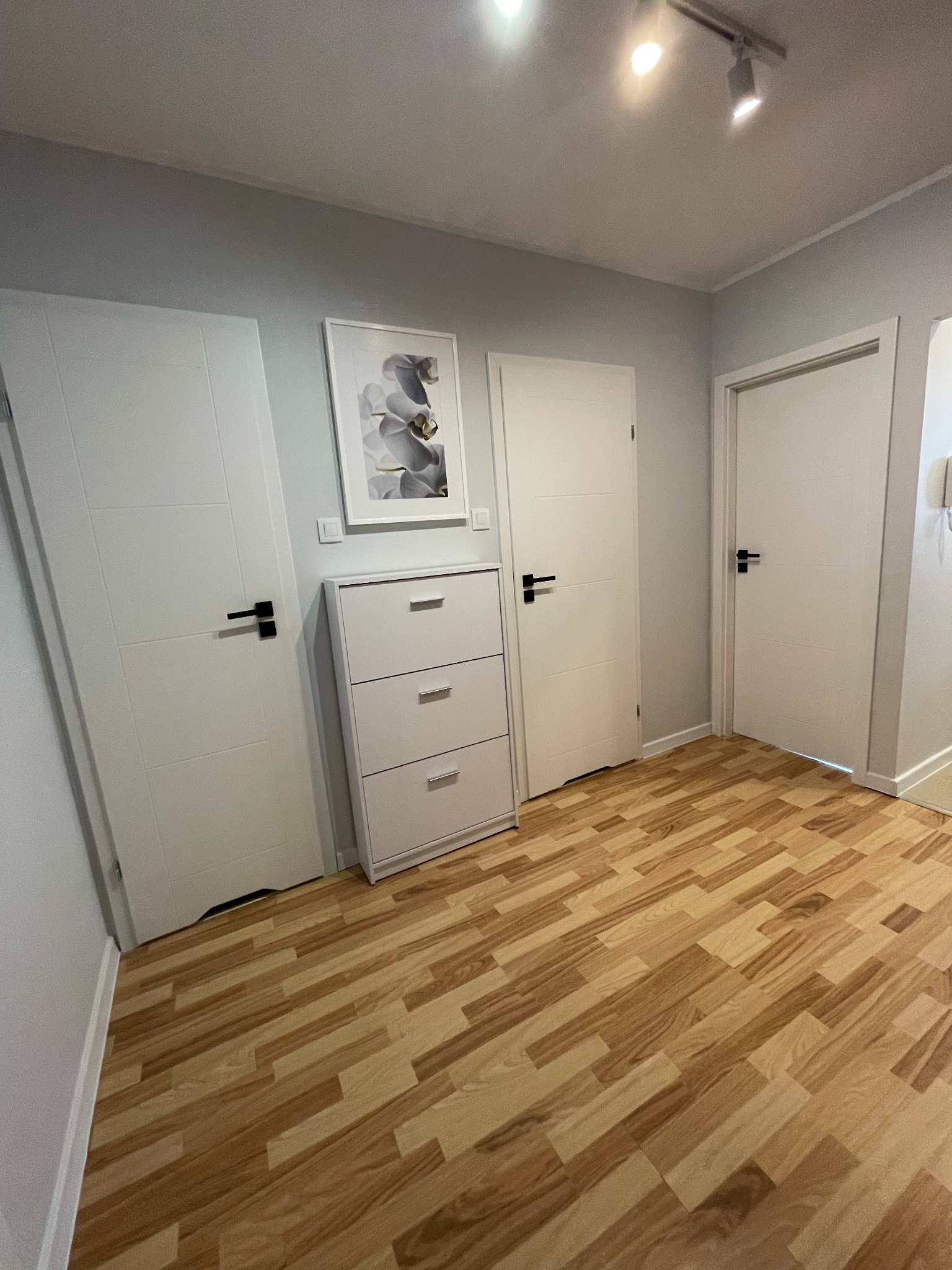 Jasne wnętrze przedpokoju z trzema białymi drzwiami z czarnymi klamkami, szafką na buty i obrazem z motywem kwiatowym, oświetlone reflektorami.