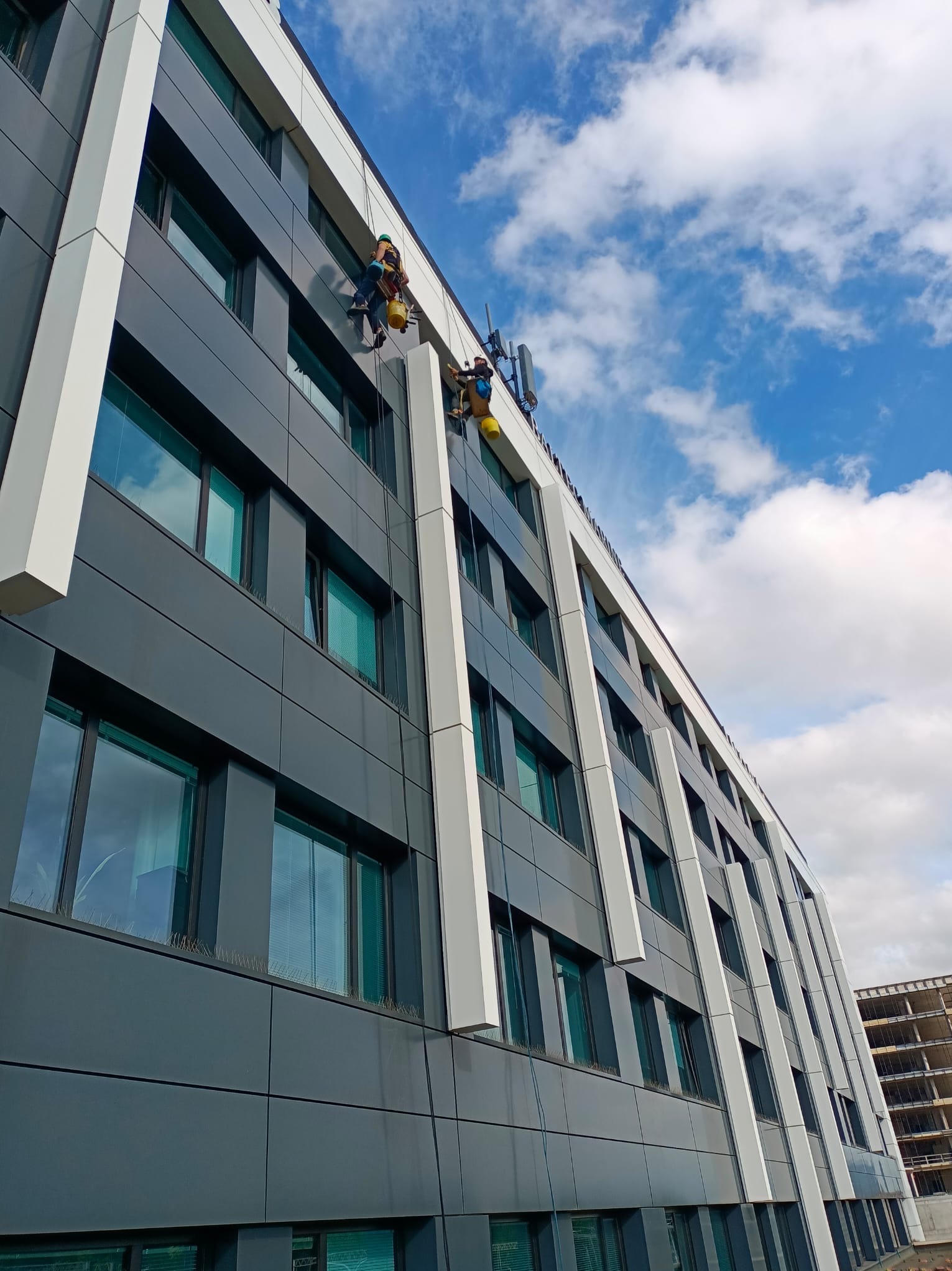 Dwóch alpinistów przemysłowych myje okna na wysokościach, zabezpieczonych linami, na tle nowoczesnego biurowca z szarymi panelami i niebieskimi oknami.