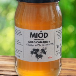 Surowy miód wielokwiatowy (RAW) z pierwszego miodobrania 2025 – niepodgrzewany, niefiltrowany, naturalnie złocisty. W składzie: wierzba, klon i mirabelka. Świeży miód z rodzinnej pasieki, bez chemii, prosto do słoika.