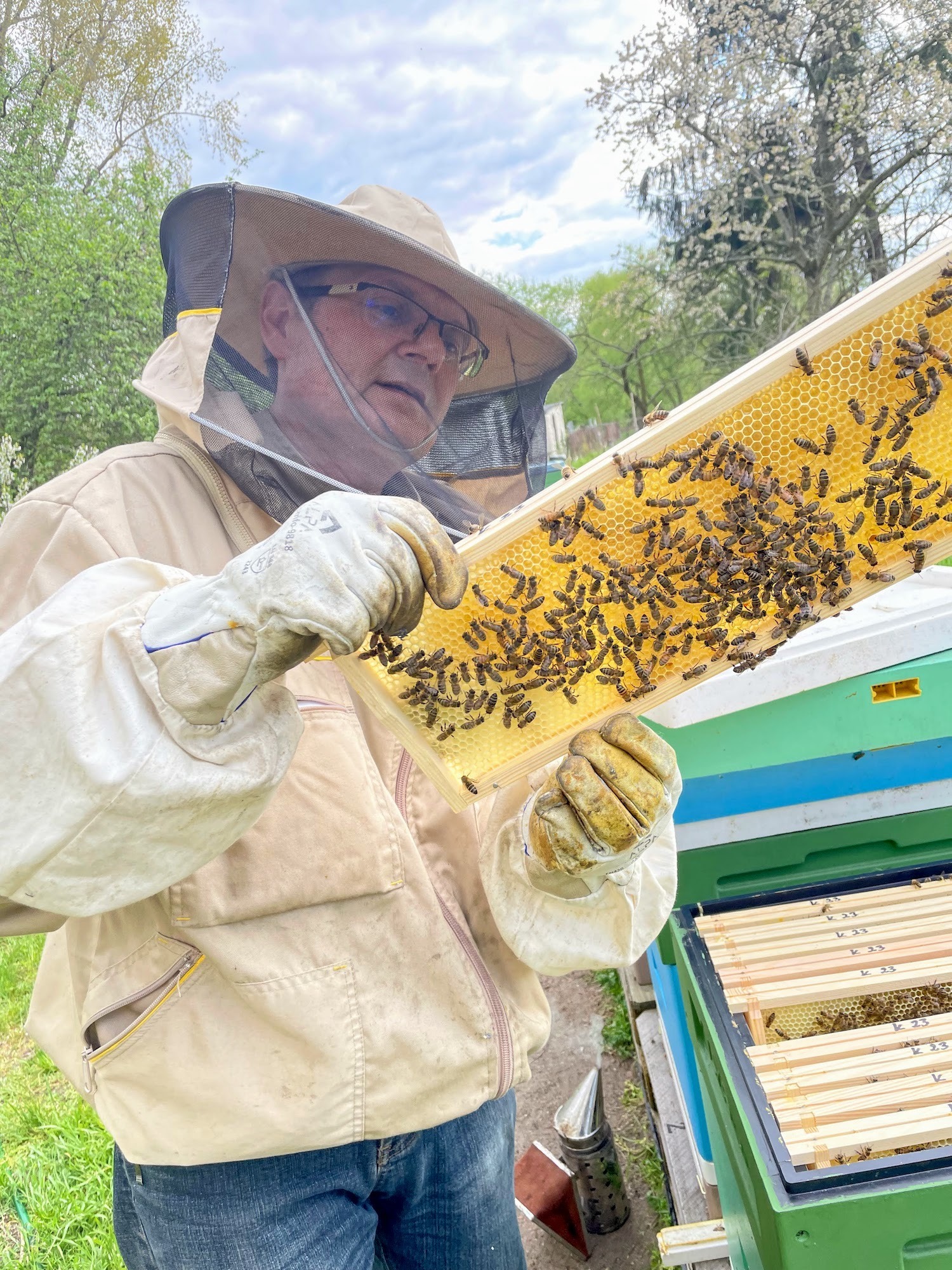 Przegląd uli w Pasiece Miodowa Panienka