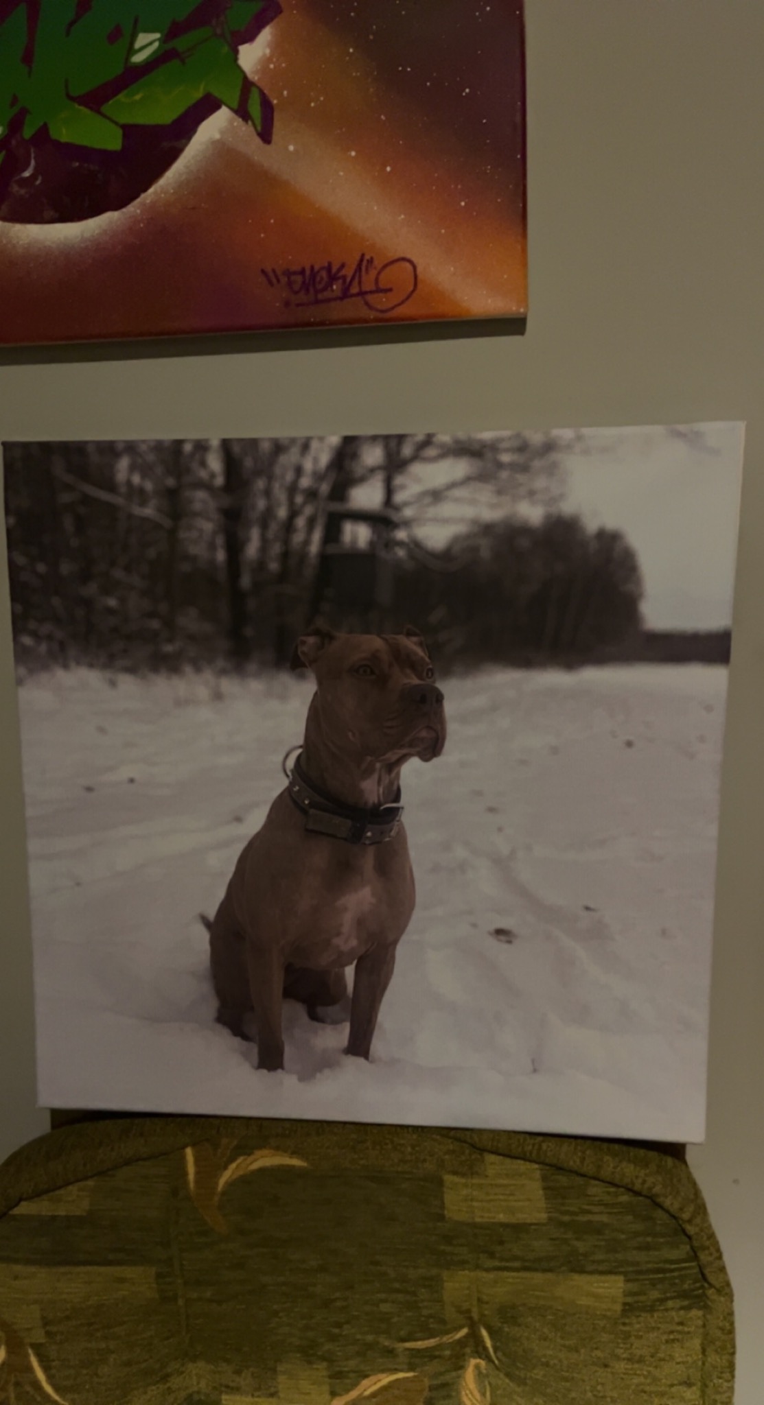 Zdjęcie brązowego psa rasy pitbull na płótnie, siedzącego na śniegu w zimowym krajobrazie, nad nim widoczny fragment kolorowego obrazu z abstrakcyjnym motywem.