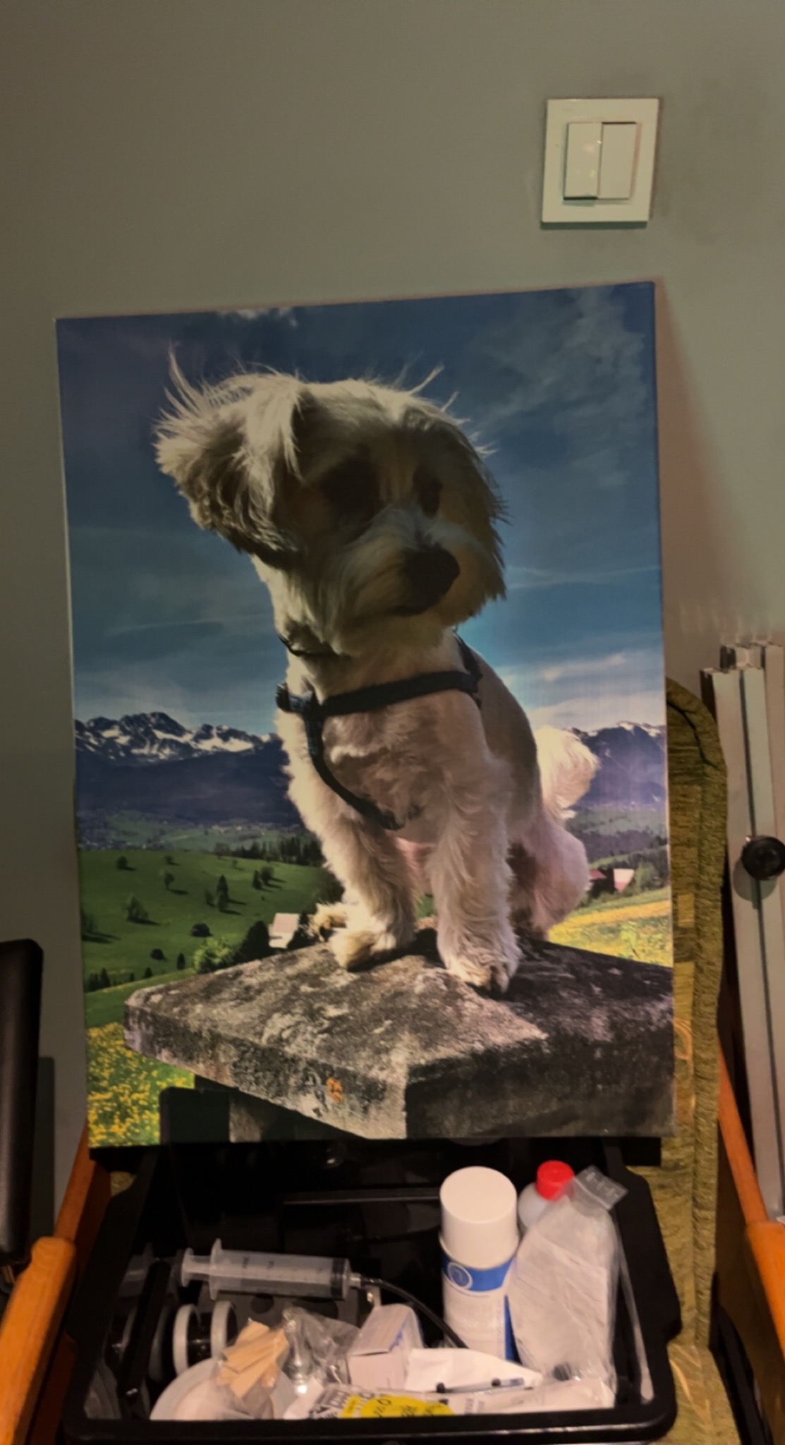 Obraz z psem na tle górskiego krajobrazu, wykonany w Zabrzu, wiszący na ścianie nad czarną szufladą z akcesoriami.