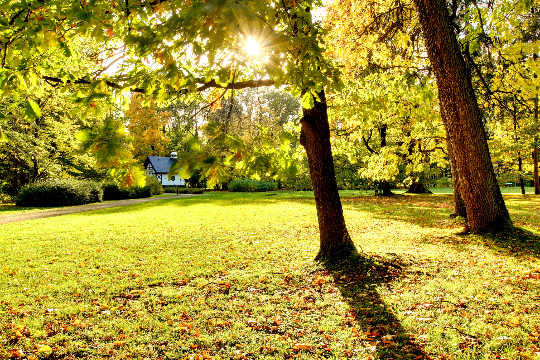Jesienny park z domkiem w stylu szwajcarskim w tle, liście na drzewach w odcieniach żółci i zieleni, promienie słońca przebijają się przez gałęzie.