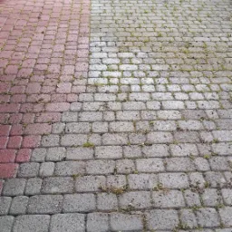 Częściowo wyczyszczona kostka brukowa przed domem, widoczne różnice w kolorze i zabrudzeniu między czystą i brudną powierzchnią, drobne chwasty w szczelinach.