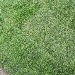 Zakładanie ogrodów Sosnowiec 1