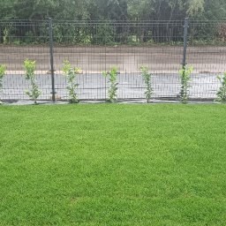 Zakładanie ogrodów Sosnowiec 2