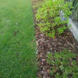 Zakładanie ogrodów Sosnowiec 4