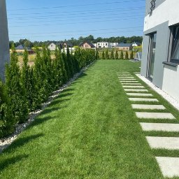 Zakładanie ogrodów Sosnowiec 4