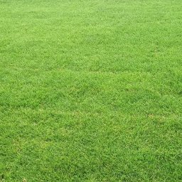 Zakładanie ogrodów Sosnowiec 2