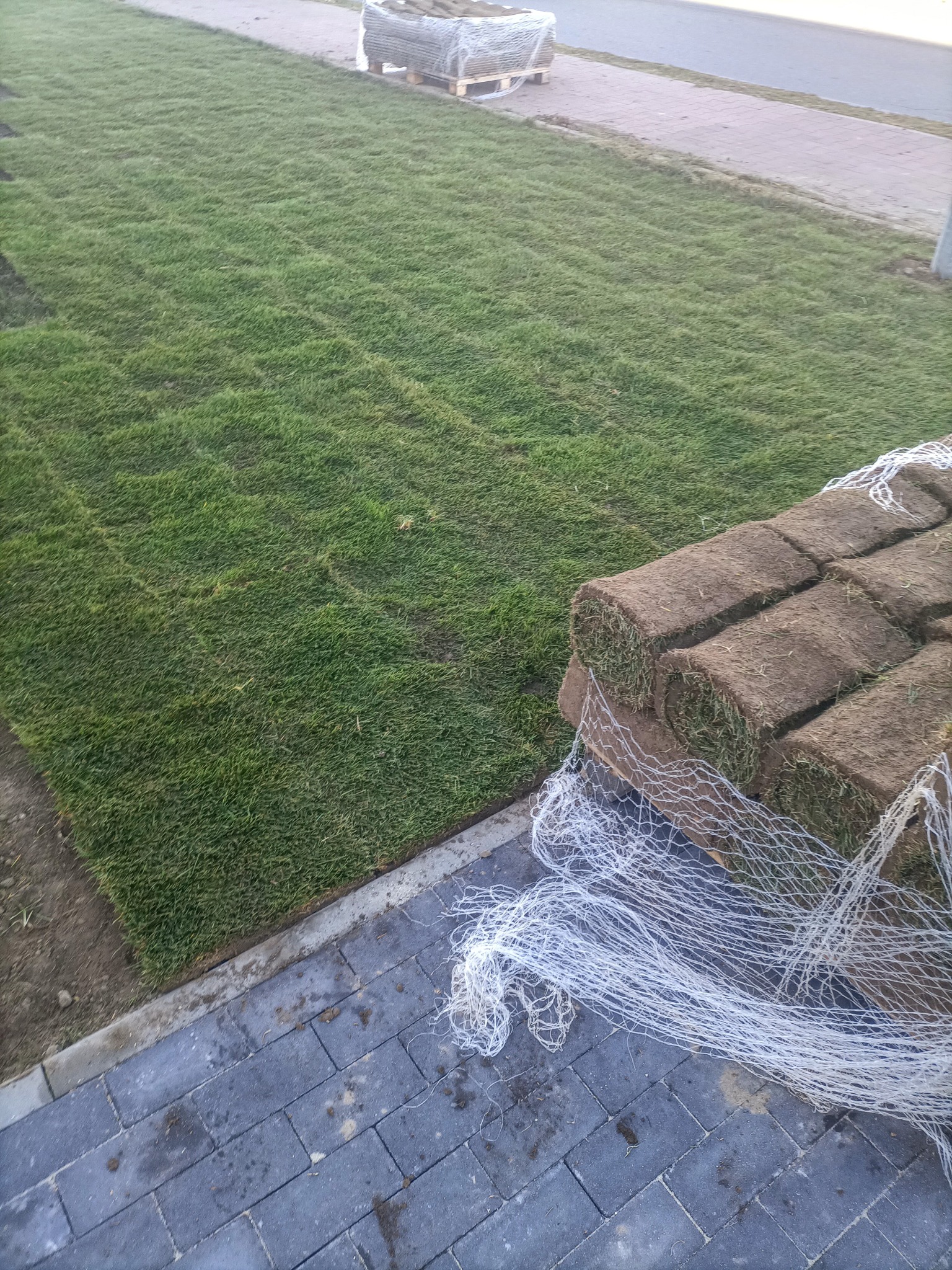 Rozłożony trawnik z rolki i zwinięte rolki trawy obok, widoczne siatki zabezpieczające, świeżo ułożona kostka brukowa.
