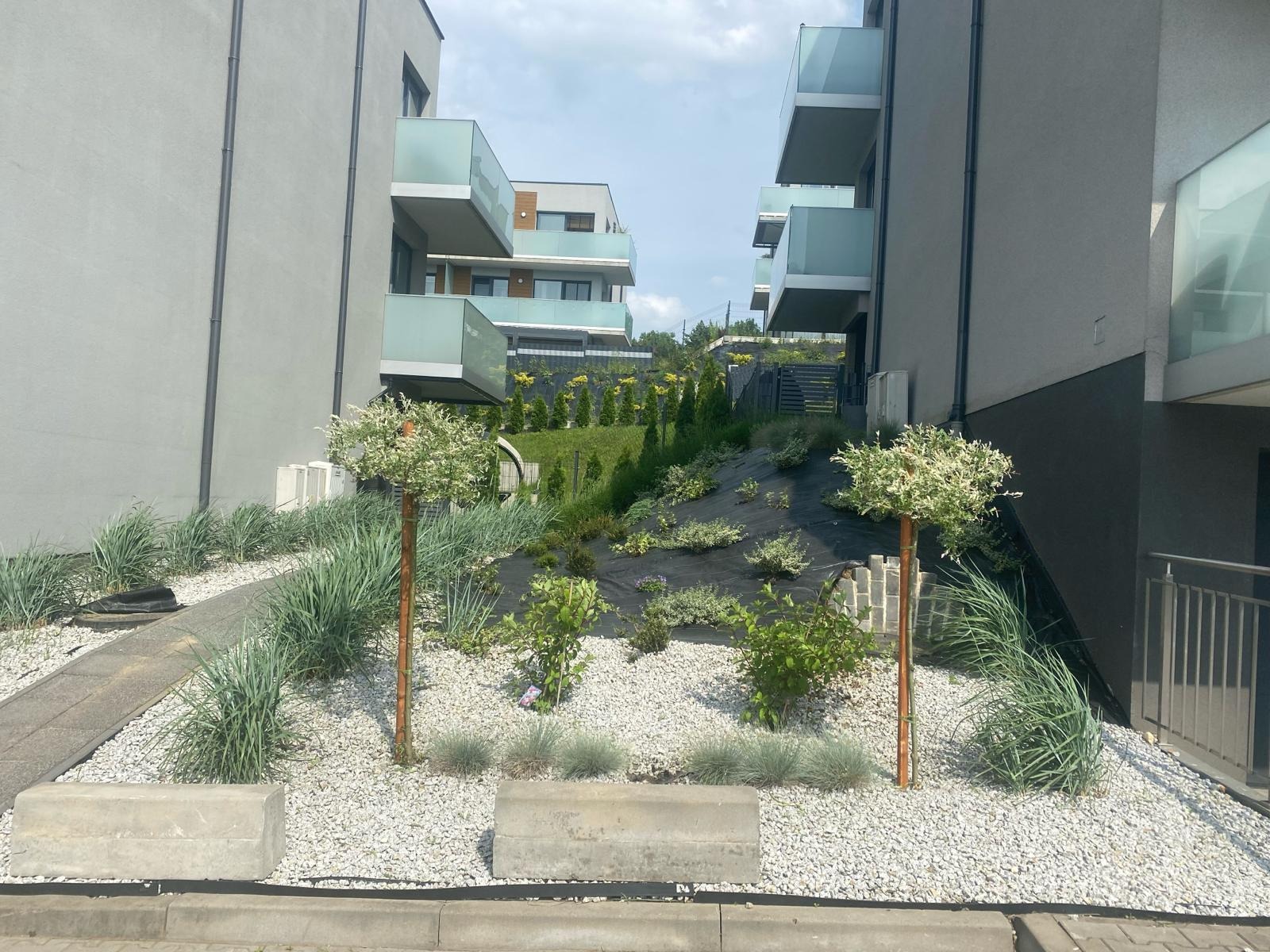 Nowoczesny ogród z białym żwirem, ozdobnymi drzewkami i trawami, na tle budynków z balkonami. Czarna agrowłóknina na zboczu. Minimalistyczny design.
