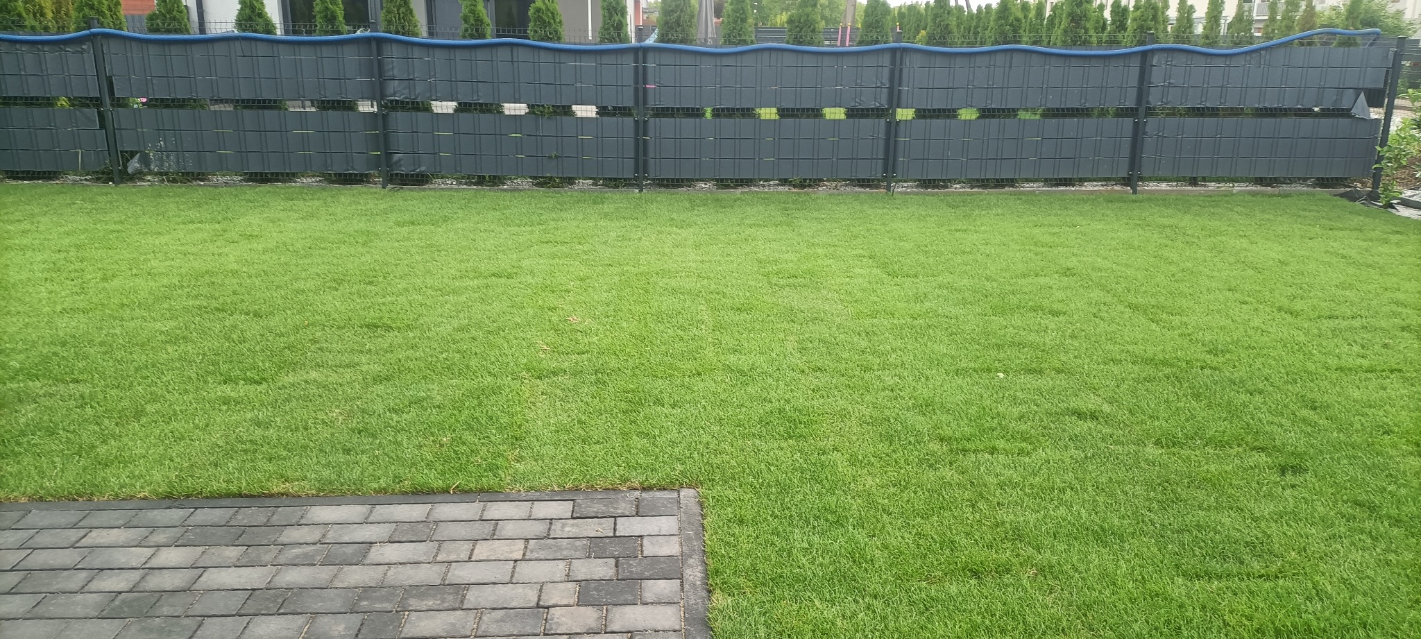 Zadbany trawnik z kostką brukową i nowoczesnym ogrodzeniem panelowym. Soczysta zieleń trawy, równo przycięta, kontrastuje z szarą kostką i ciemnym ogrodzeniem.