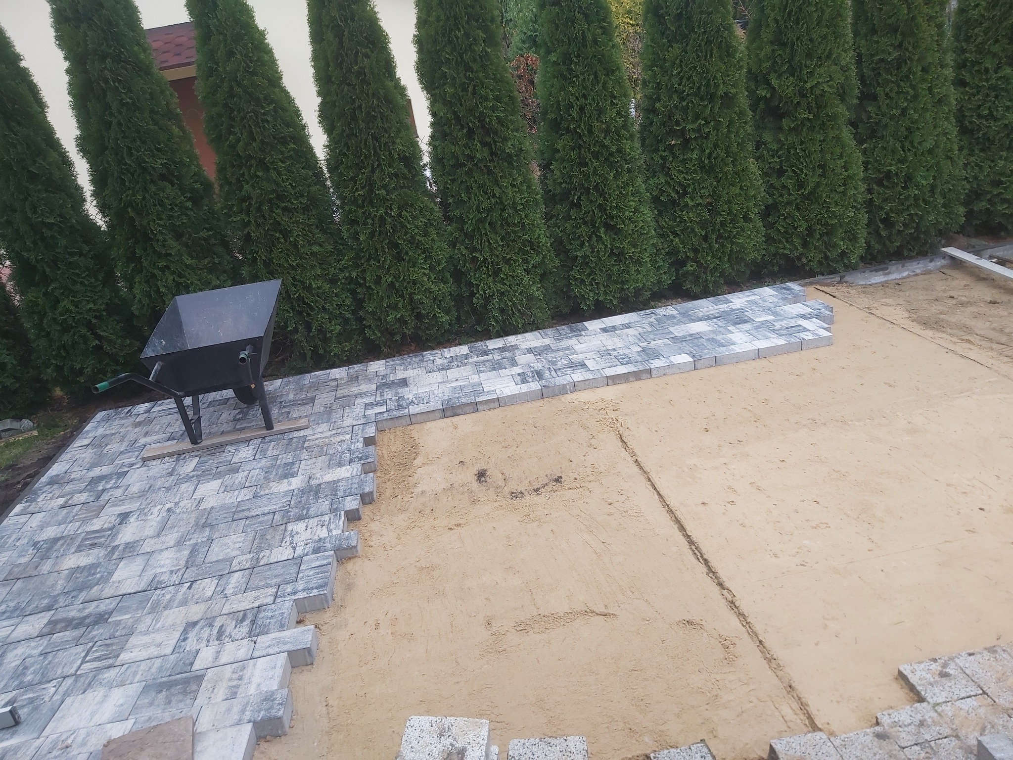 Układanie szarej kostki brukowej na piasku, widoczna taczka i rząd wysokich tuj w tle.