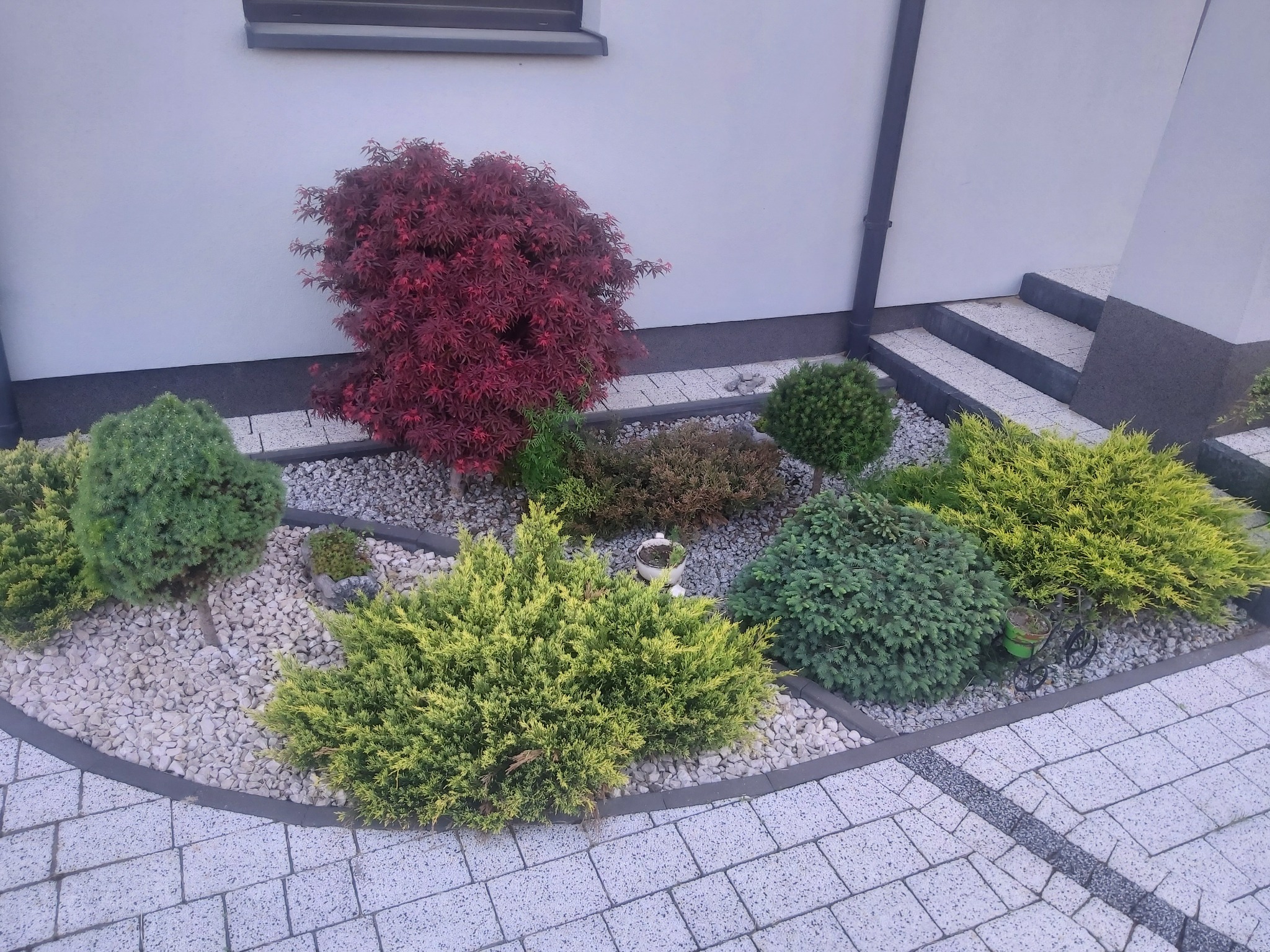 Ogród przydomowy z różnorodnymi krzewami ozdobnymi, wysypany białym żwirem, obrzeża z kostki brukowej, widoczny fragment elewacji budynku i schody.