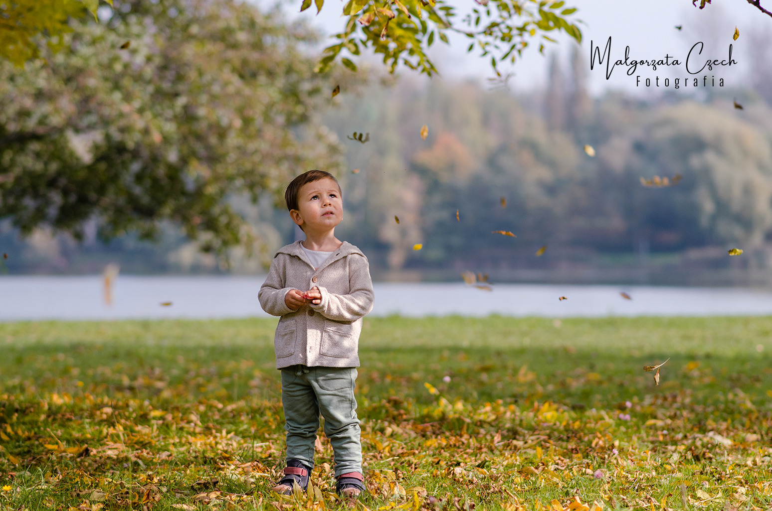 Chłopiec w beżowym kardiganie i zielonych spodniach stoi na trawniku pełnym opadłych liści, spoglądając w górę na spadające liście z drzewa; w tle widoczne jezioro i drzewa.