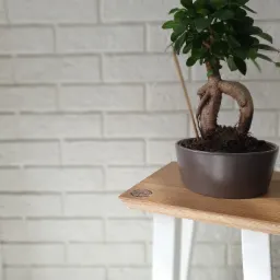 Bonsai w brązowej doniczce na małym, jasnym drewnianym stoliku z białymi nogami, na tle białej ściany z cegły; widoczne logo firmy na blacie stolika.