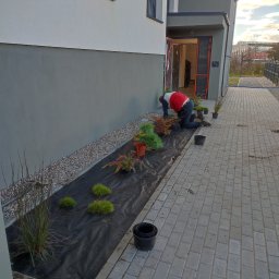 Pielęgnacja ogrodów Bydgoszcz 30