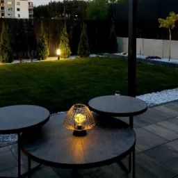 Nowoczesny ogród z podświetlonym trawnikiem, ozdobnymi drzewami iglastymi i lampą dekoracyjną na stoliku kawowym na tle czarnego ogrodzenia.