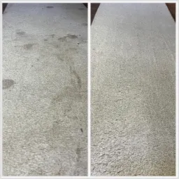 Porównanie stanu dywanu przed i po czyszczeniu w Ciechanowie, widoczne usunięte plamy i odświeżona struktura włókien.