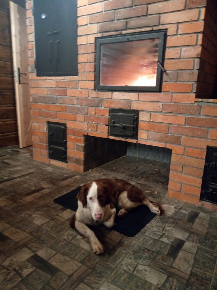 Brązowo-biały pies leży na czarnej macie przed ceglanym kominkiem z żarzącym się ogniem wewnątrz.