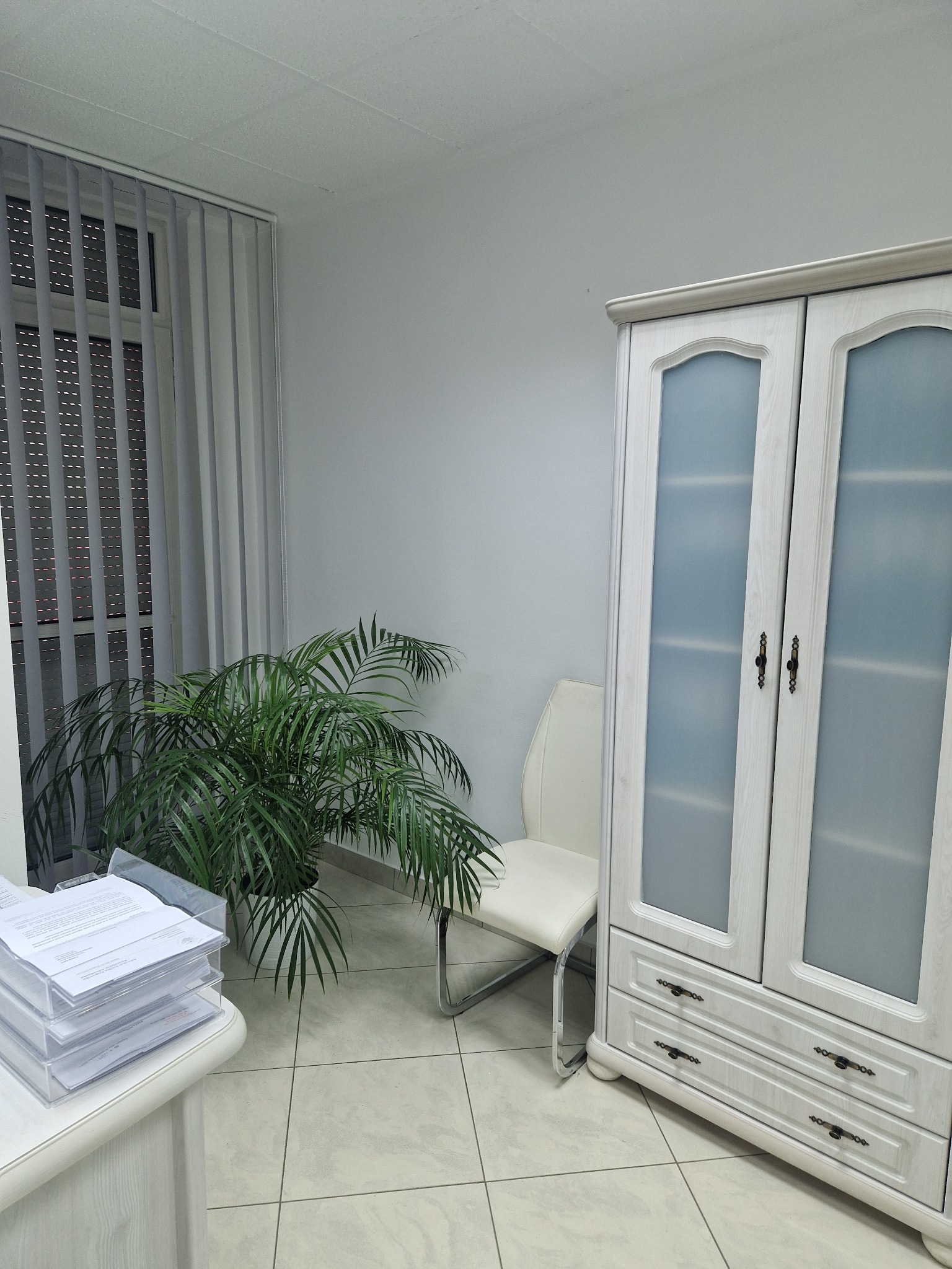 Jasne biuro z biurkiem, stosem dokumentów w przezroczystych tackach, rośliną doniczkową, krzesłem i białą szafą z przeszkleniami, widok na żaluzje pionowe w oknie.