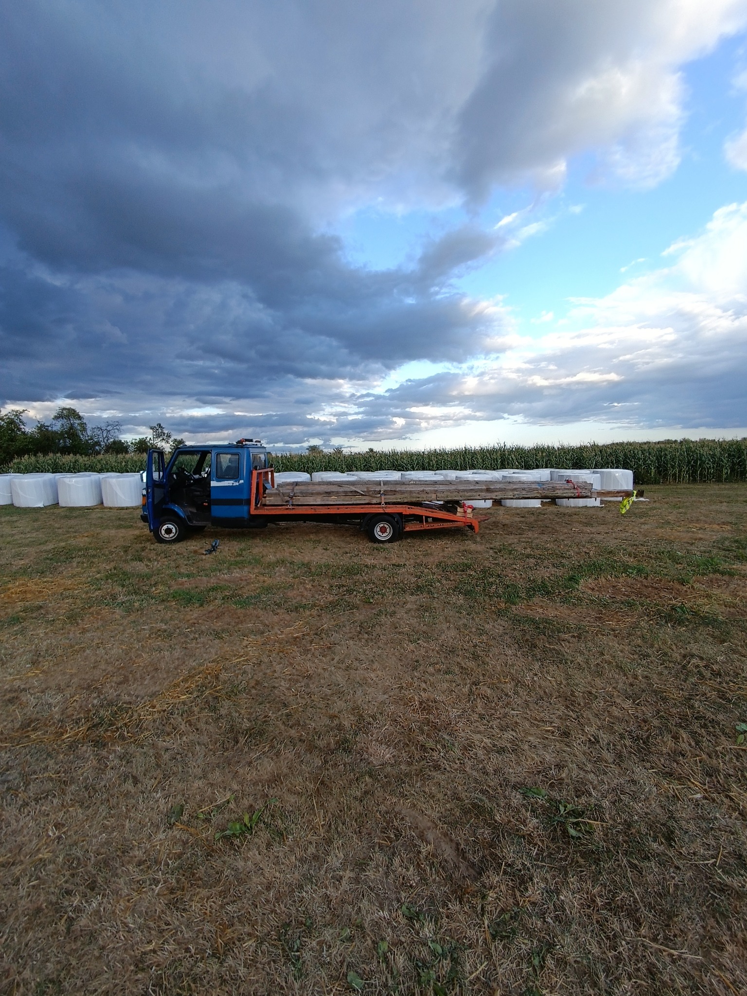 Niebieska laweta z drewnem na łące, w tle bele słomy i pole kukurydzy pod pochmurnym niebem. Otwarta kabina.