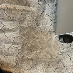 Fragment czyszczonego dywanu w beżowych odcieniach z wyraźnym wzorem, widoczne ślady po czyszczeniu parowym i końcówka odkurzacza piorącego.